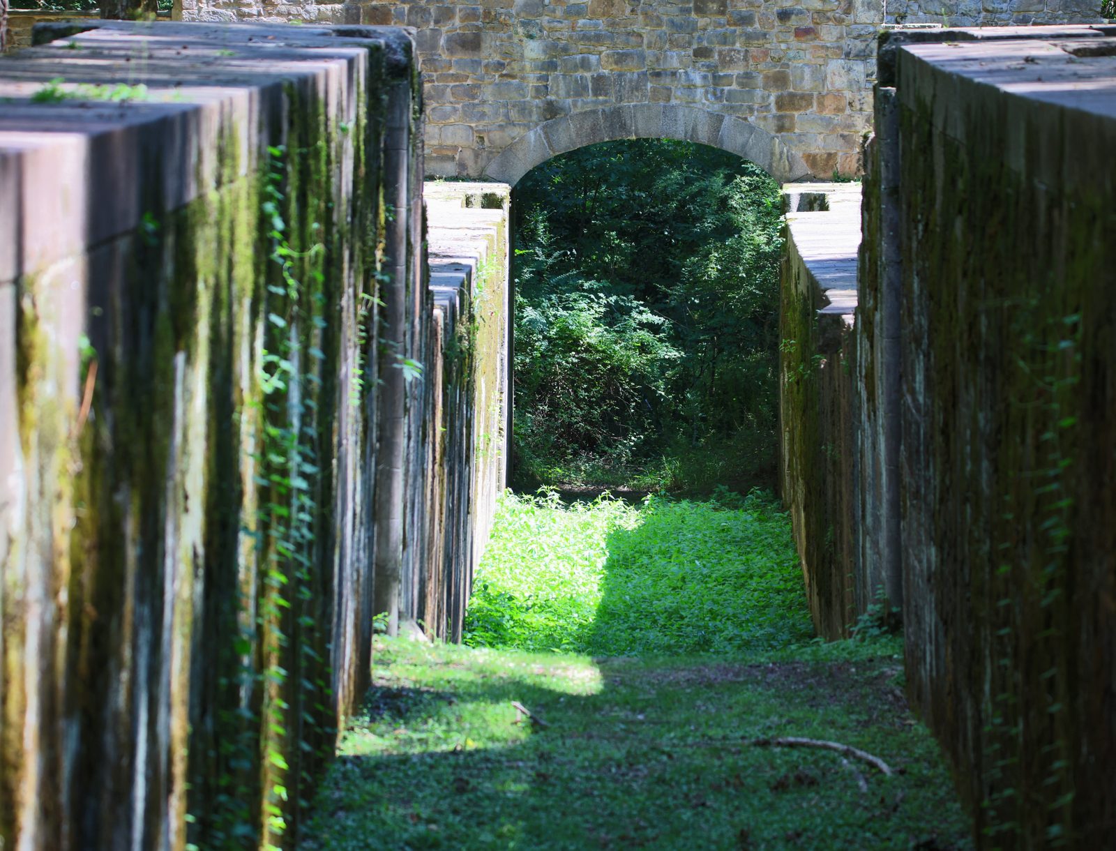 Stone passage through the woods