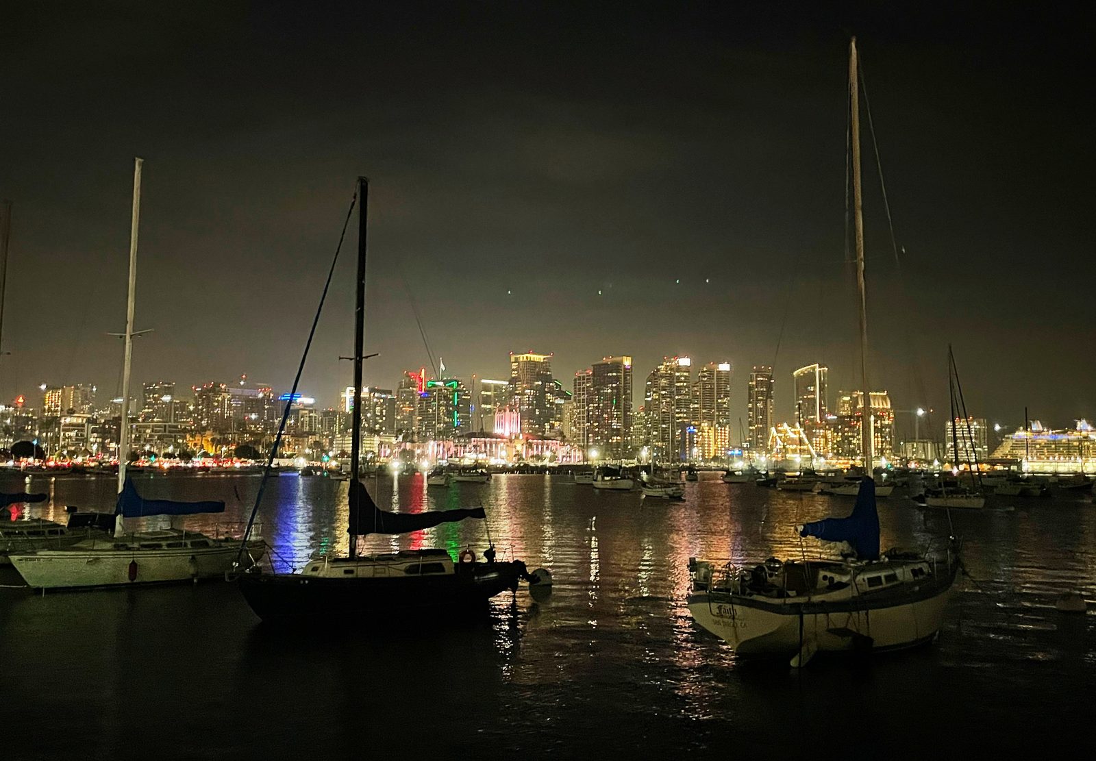 Marina and city lights